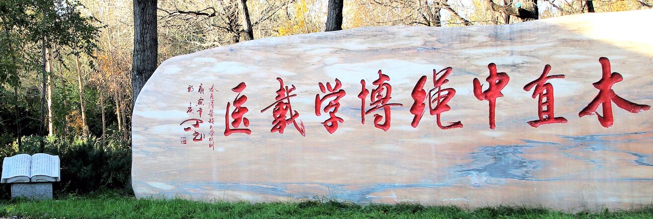 lowest-fees-university-in-china